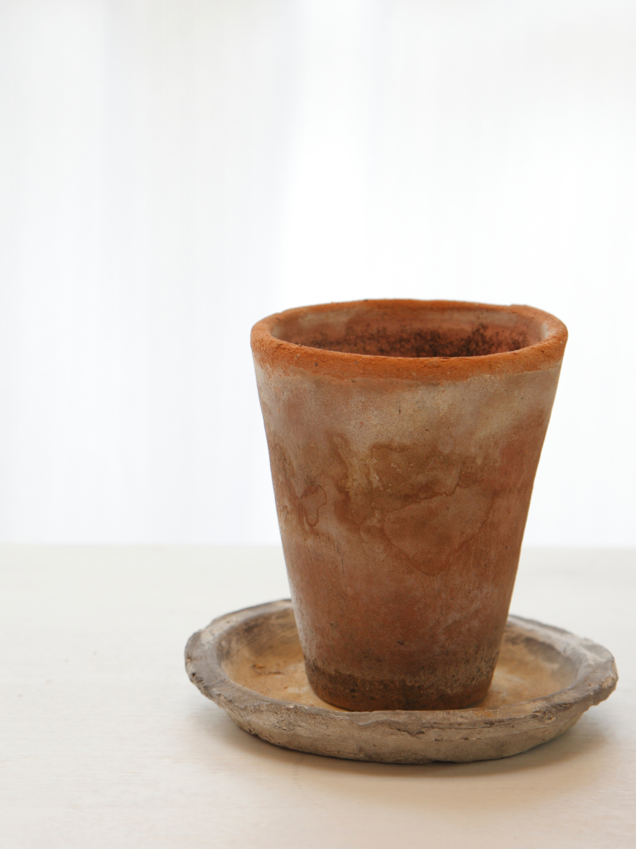 What Is Chai Tea? A Look At One of India’s Beloved Traditions