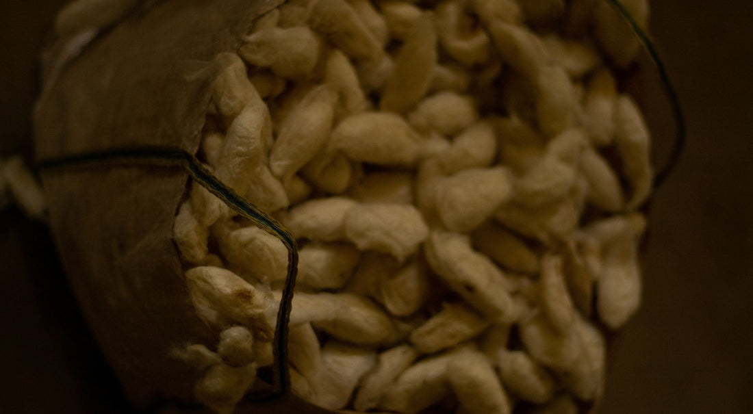 Weaving Tradition, Stitching Culture: What is Eri Silk Fabric?