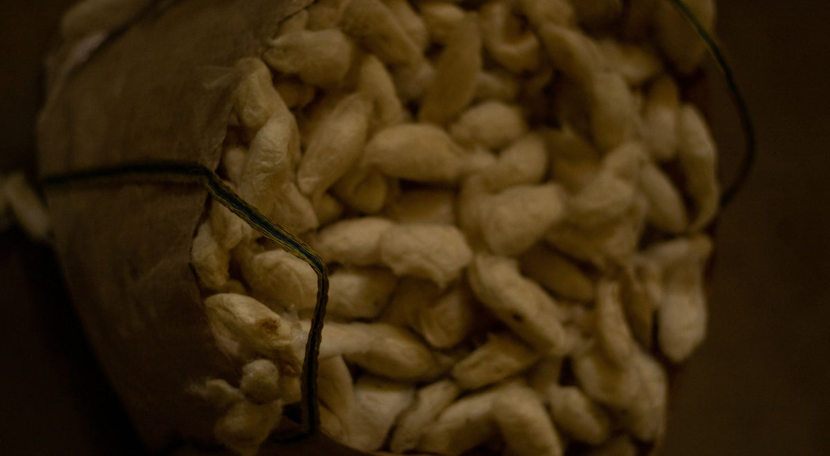 Weaving Tradition, Stitching Culture: What is Eri Silk Fabric?